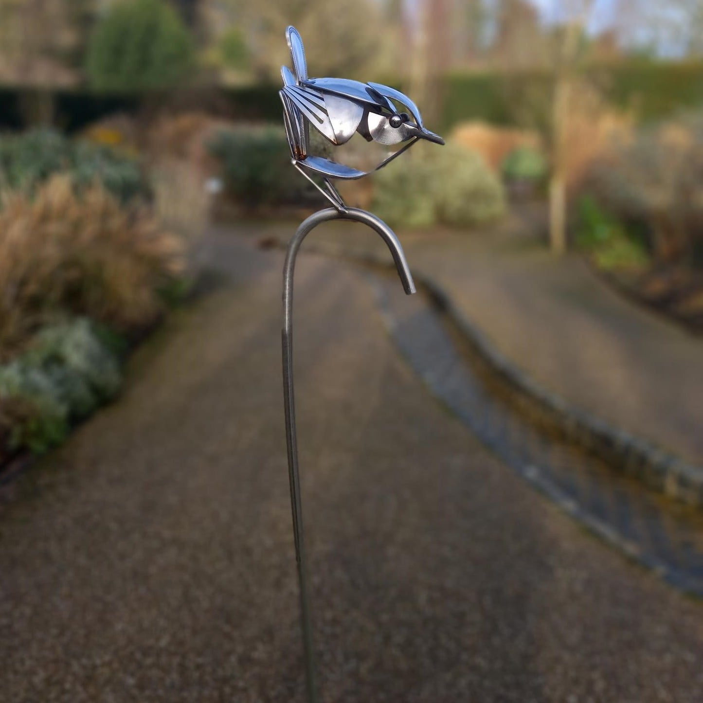 Wren on a 'Crook'