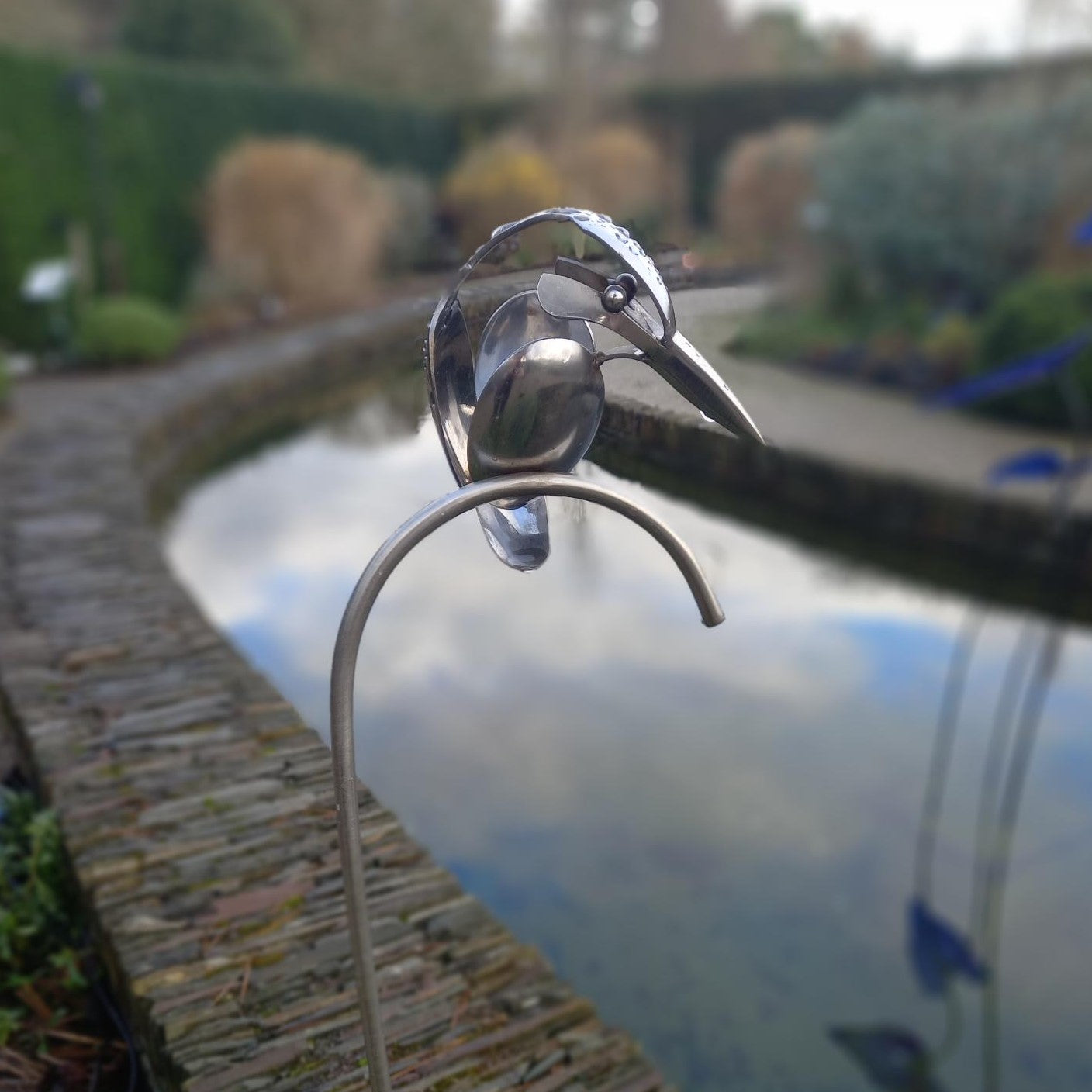 Kingfisher on a 'Crook'