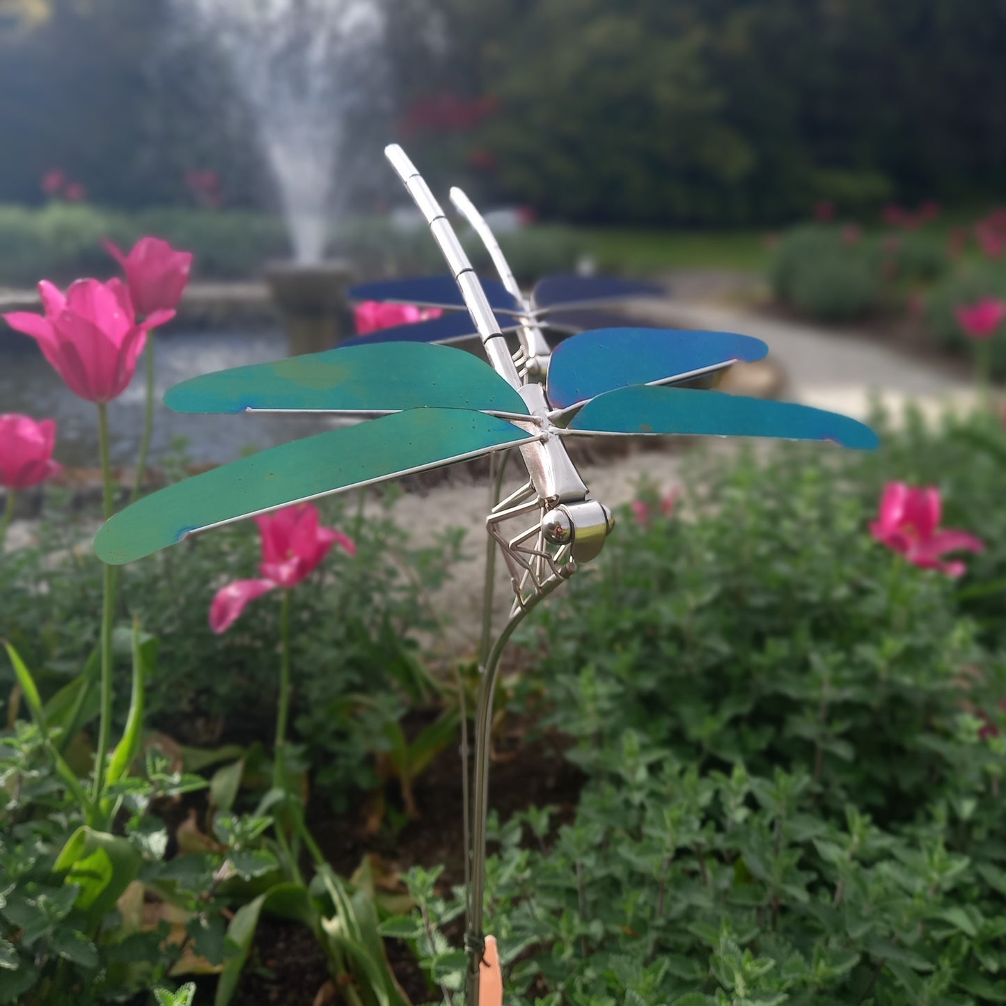Dragonfly