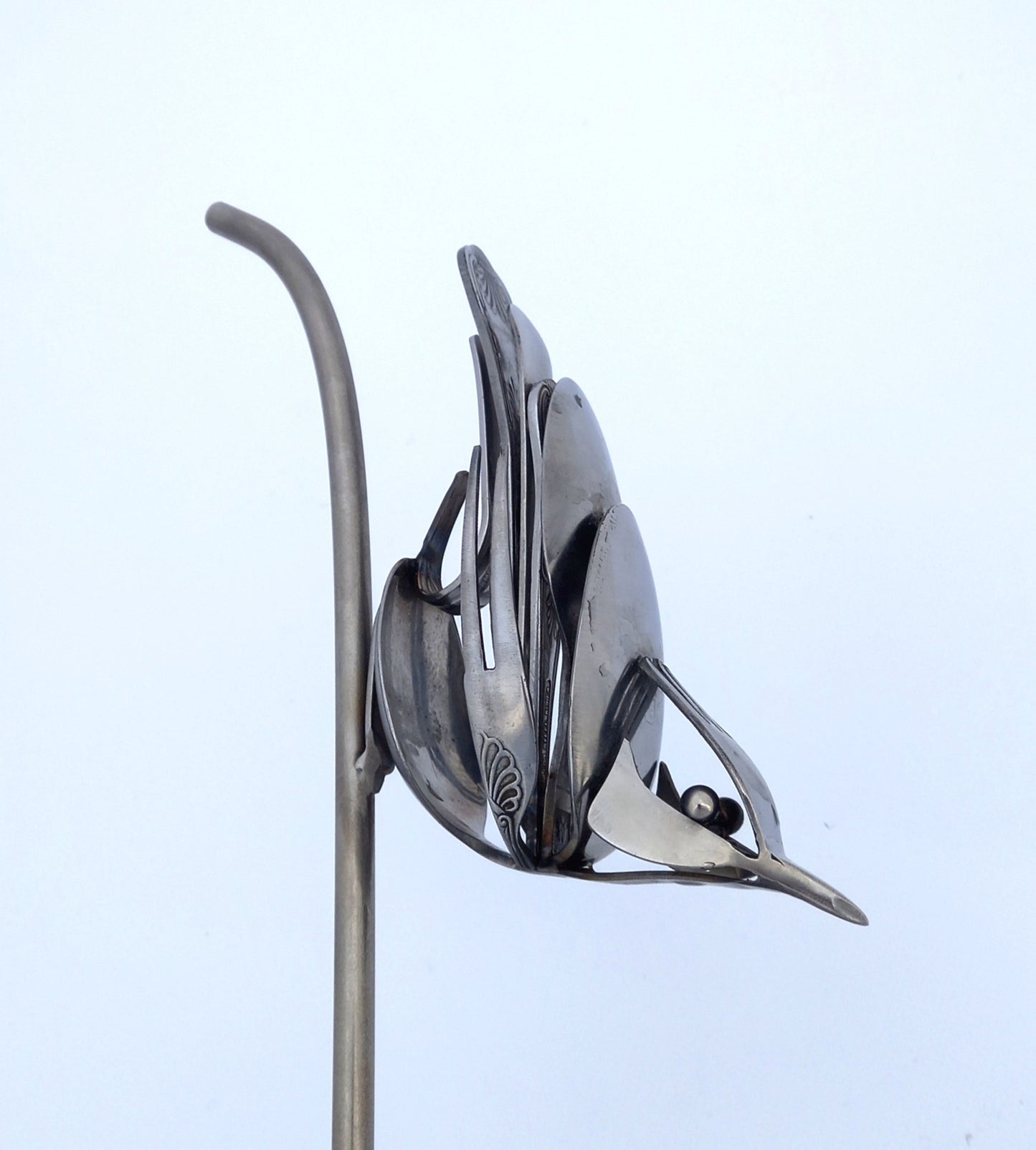 Nuthatch