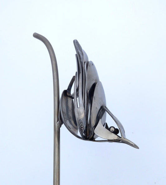 Nuthatch